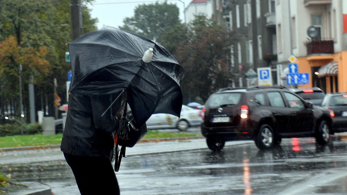 Pogoda
Marcin Bielecki
deszcz, nawa�nica, parasol parasolka, pogoda, wiatr, wichura
