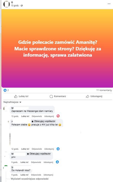 W sieci nadal można kupić muchomora czerwonego
