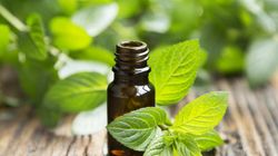 Mięta pieprzowa i olejek miętowy - właściwości lecznicze. Czy picie mięty w ciąży jest bezpieczne?