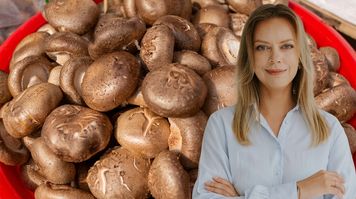 Te grzyby są jak balsam dla jelit. "Działanie prebiotyczne"
