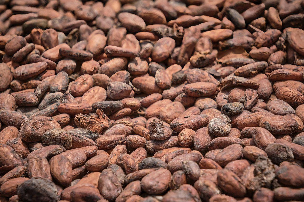 Cocoa prices have reached a record high.