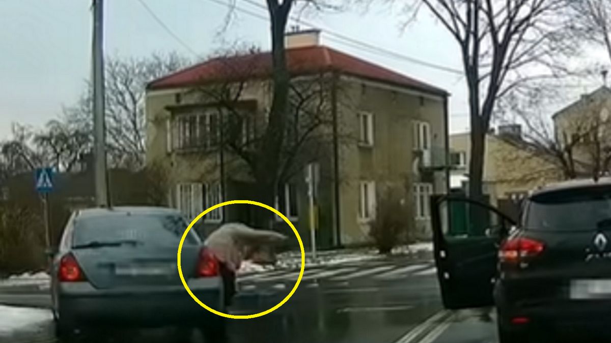 W Lublinie doszło do niebezpiecznego potrącenia