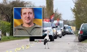 Bocian na pogrzebie żołnierza. Wymowne sceny w Ukrainie