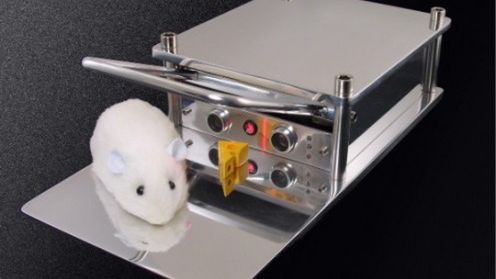 Technologia wrogiem myszy (wideo) 1