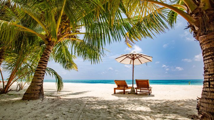 Izosporoza to choroba wywoływana przez pierwotniaka, zwykle rozpoznawana w klimacie tropikalnym.