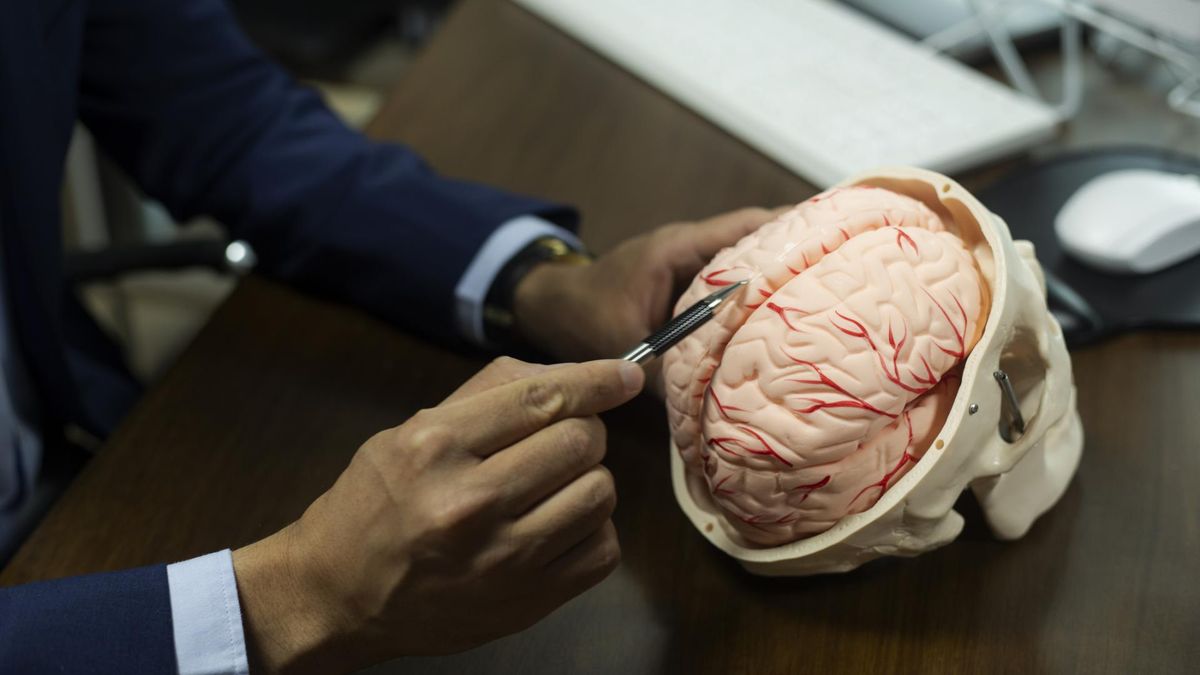 Zdrowie mózgu jest powiązane ze zdrowiem serca. Te 5 nawyków ochroni jedno i drugie