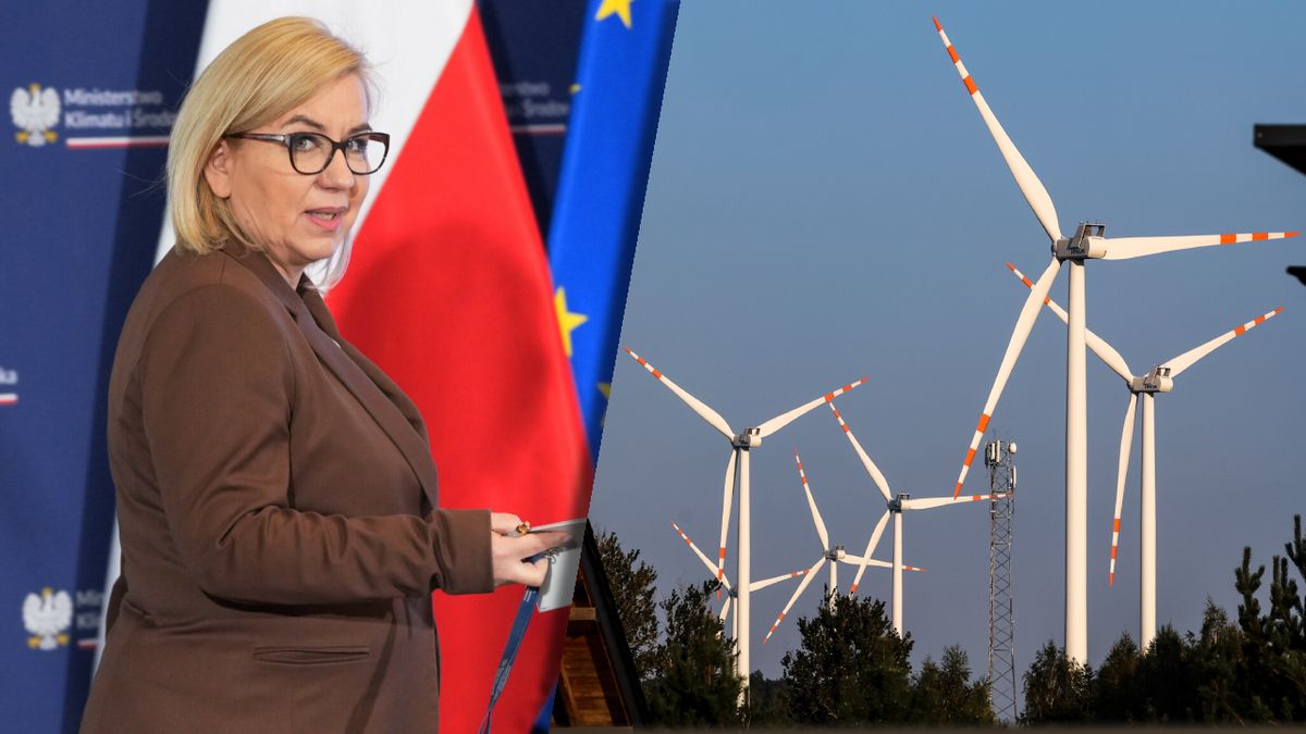 Ministra klimatu: rząd przyjął projekt ustawy wiatrakowej