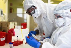 Koronawirus. Powrót do szkoły. Dr Tomasz Ozorowski ostrzega: Lawinowy wzrost zakażeń nastąpi pod koniec września