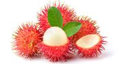 Jagodzian rambutan –  wygląd, smak i właściwości zdrowotne