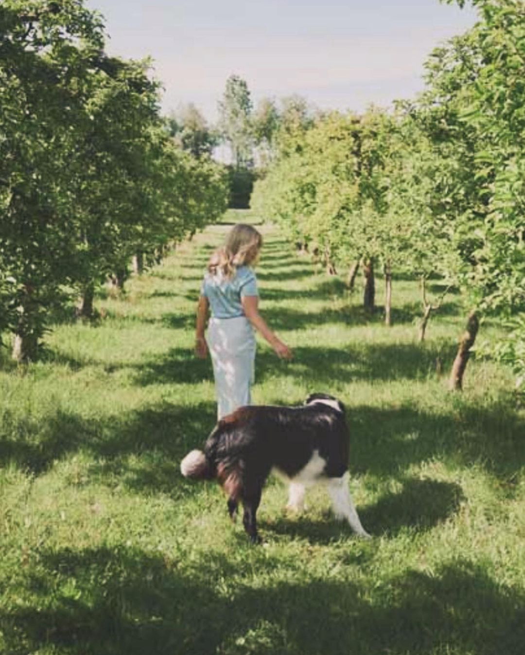 Tak mieszka Wojciech Modest Amaro (Instagram)