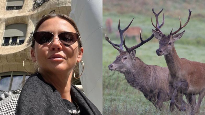 Kinga Rusin idzie na wojnę z myśliwymi