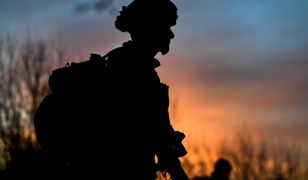 Poważne kłopoty duńskiej armii. Media wskazują