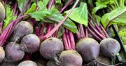 Co się dzieje na rynku buraków? Oto ceny tego warzywa