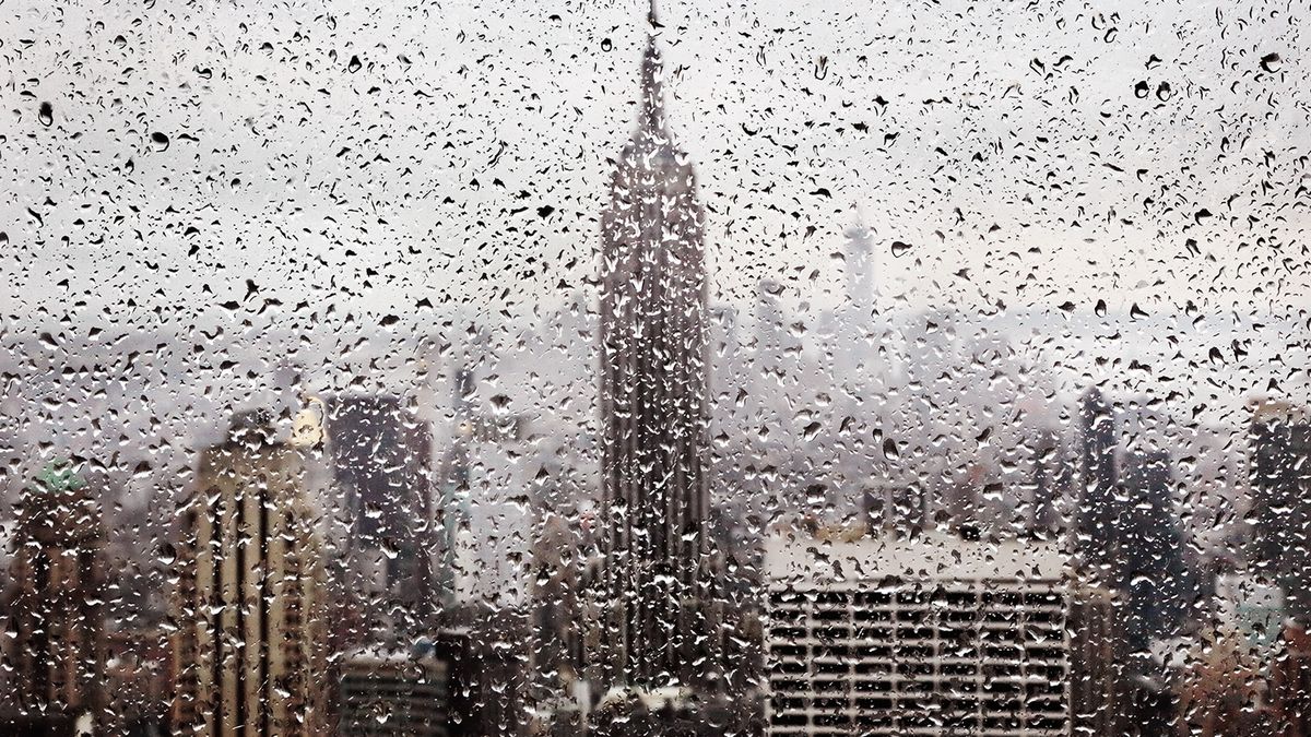 W czasie deszczu... fotografowie się nie nudzą! 1