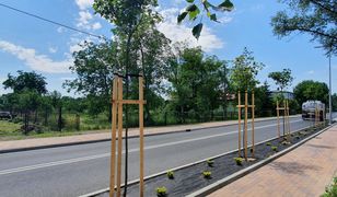 Czechowice-Dziedzice. Nowe rondo na drodze do rafinerii. Komfortowo i bezpieczniej