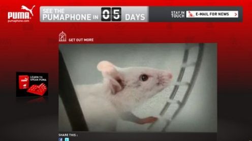 PUMA PHONE - najbardziej sportowy telefon świata 1