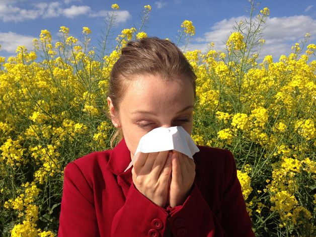 Alergicy muszą się przygotować na wyjątkowo długi i ciężki sezon