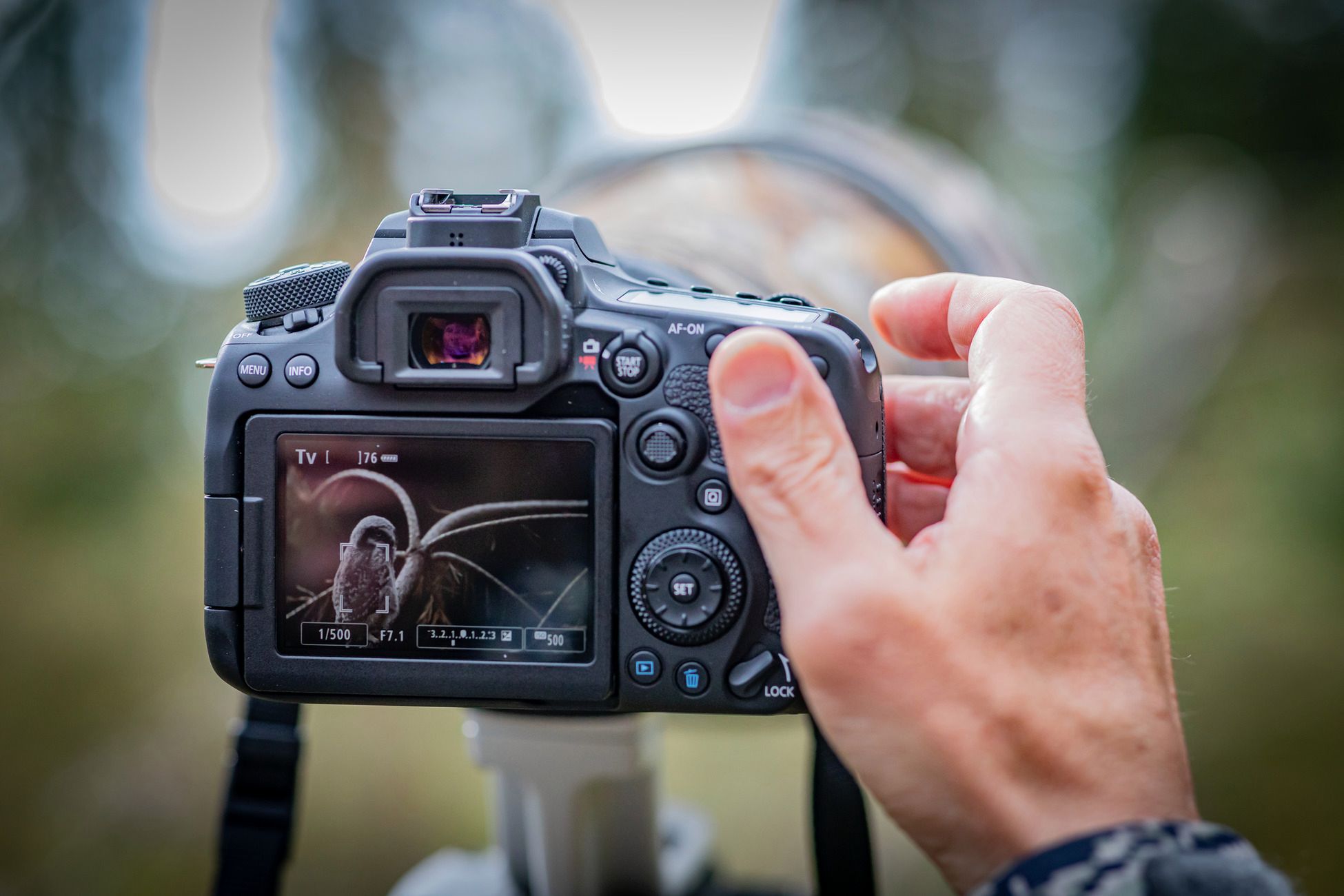 Canon EOS 90D i Canon EOS M6 Mark II to najciekawsze korpusy Canona od lat 16