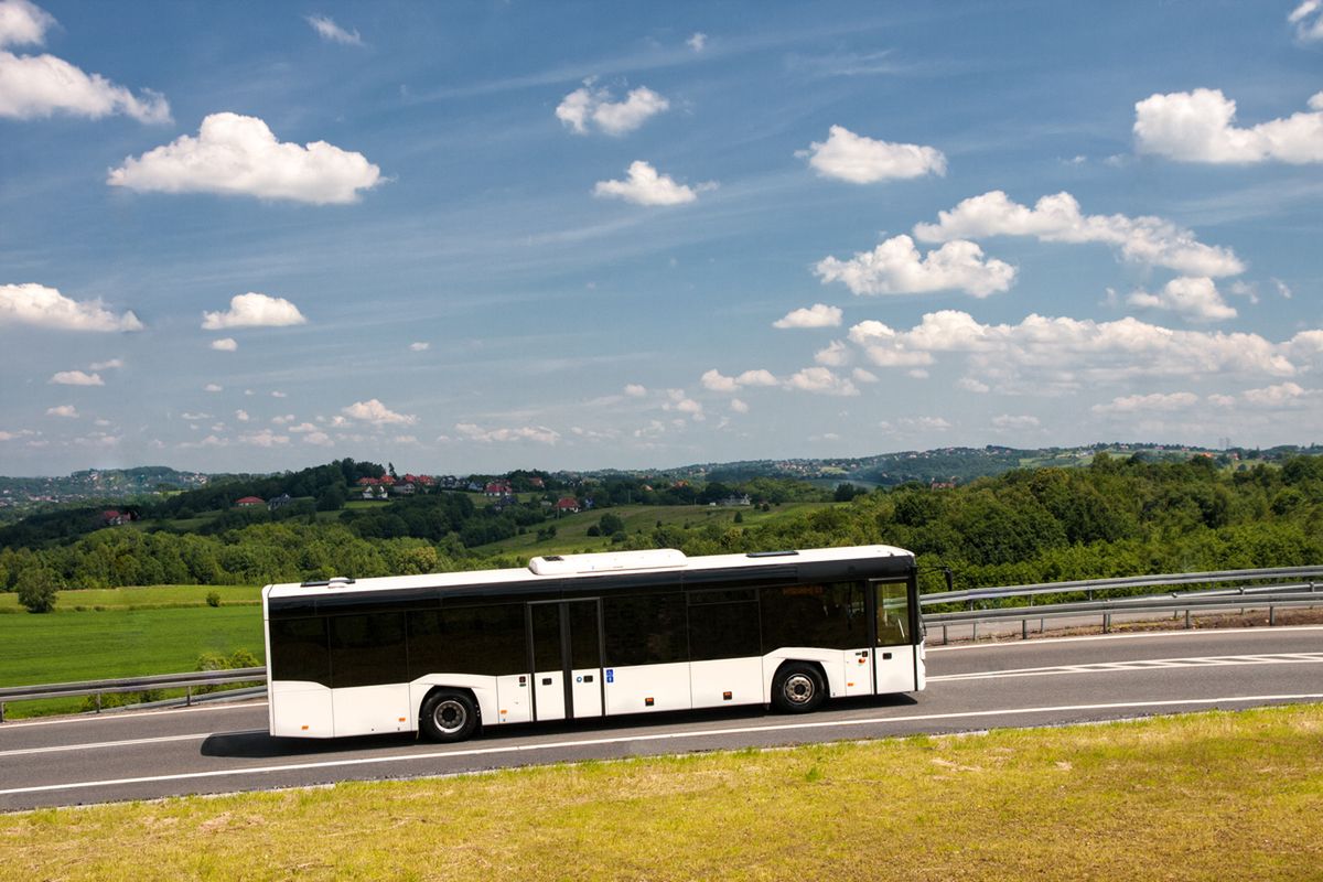 Solaris InterUrbino