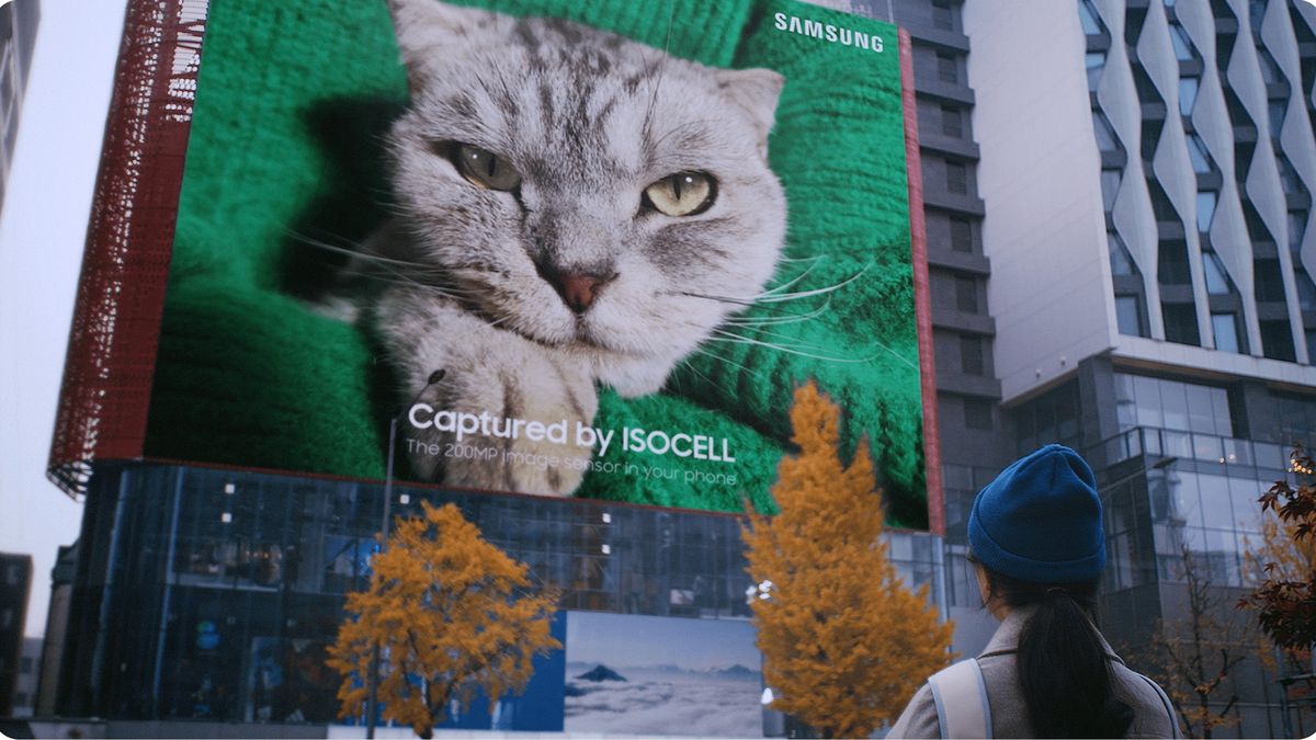 Zdjęcie wielkości budynku. Samsung uchwycił kota aparatem 200 MP w smartfonie 1