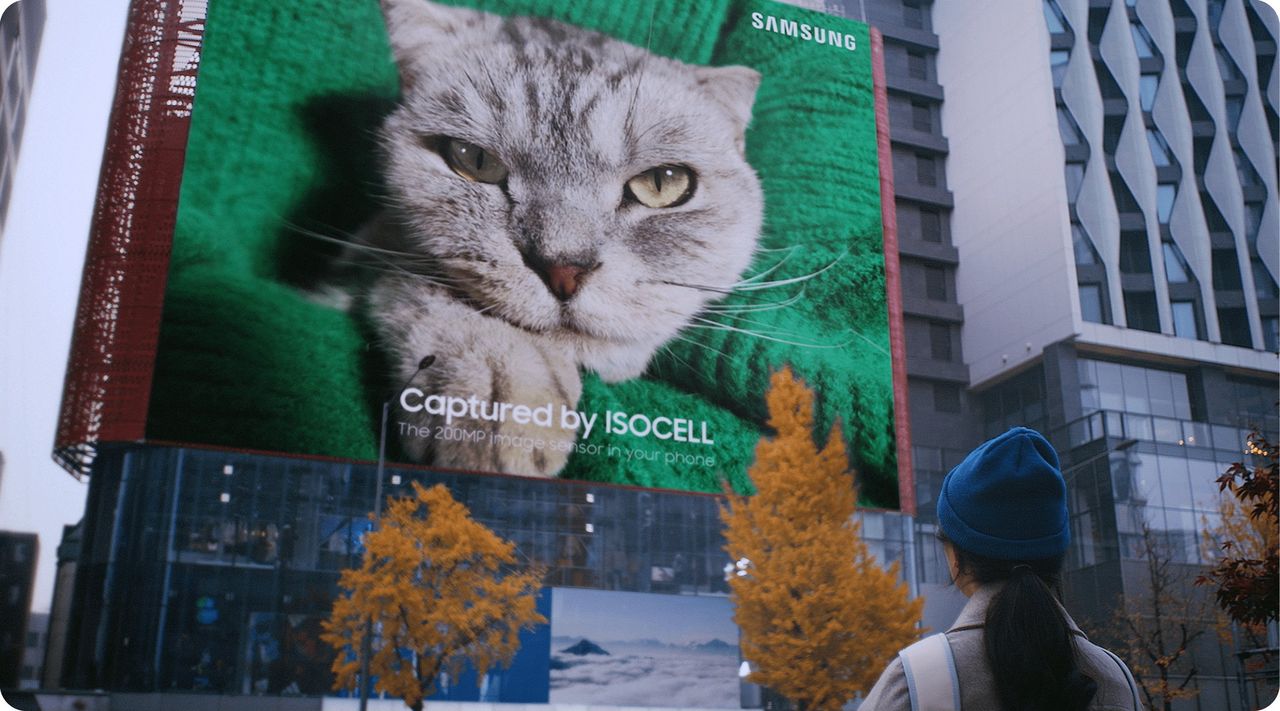 Zdjęcie wielkości budynku. Samsung uchwycił kota aparatem 200 MP w smartfonie