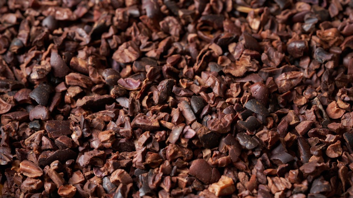 Co włączyć do diety, aby poprawić pamięć i koncentrację?