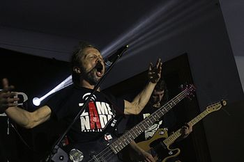 Siary: Punk nie umarł. Dezerter, GaGa/Zielone Żabki i lokalna scena w koncertowej erupcji buntu i adrenaliny