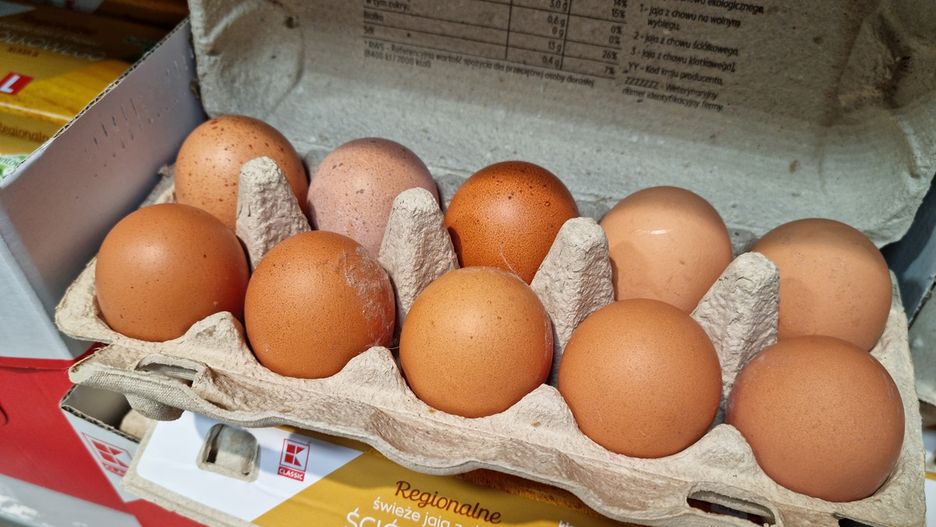 Tanie jajka – tu kupisz najkorzystniej. Aktualne ceny w sklepach