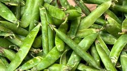 Zielony groszek. Letni superfood, o którym zapominamy