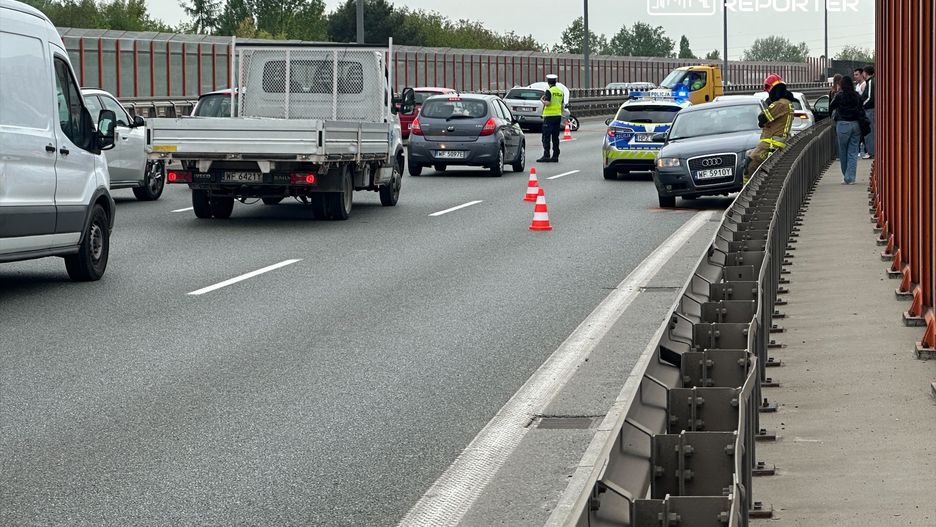 Auta zderzyły się ze stadem dzików na Trasie Siekierkowskiej
