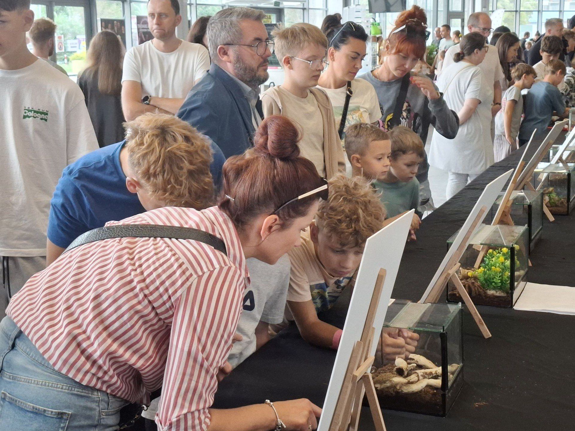 Drugi dzień Dragon Expo w Radomiu