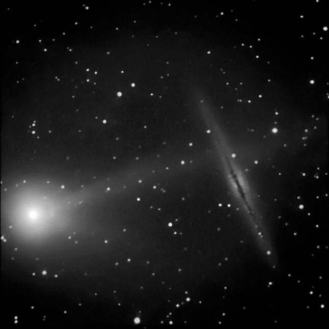 Analiza orbity komety McNaugtha pozwala stwierdzić, że jest ona nieokresowa. Innymi słowy, zawitała do Układu Słonecznego po to tylko, by nigdy więcej tu nie powrócić.