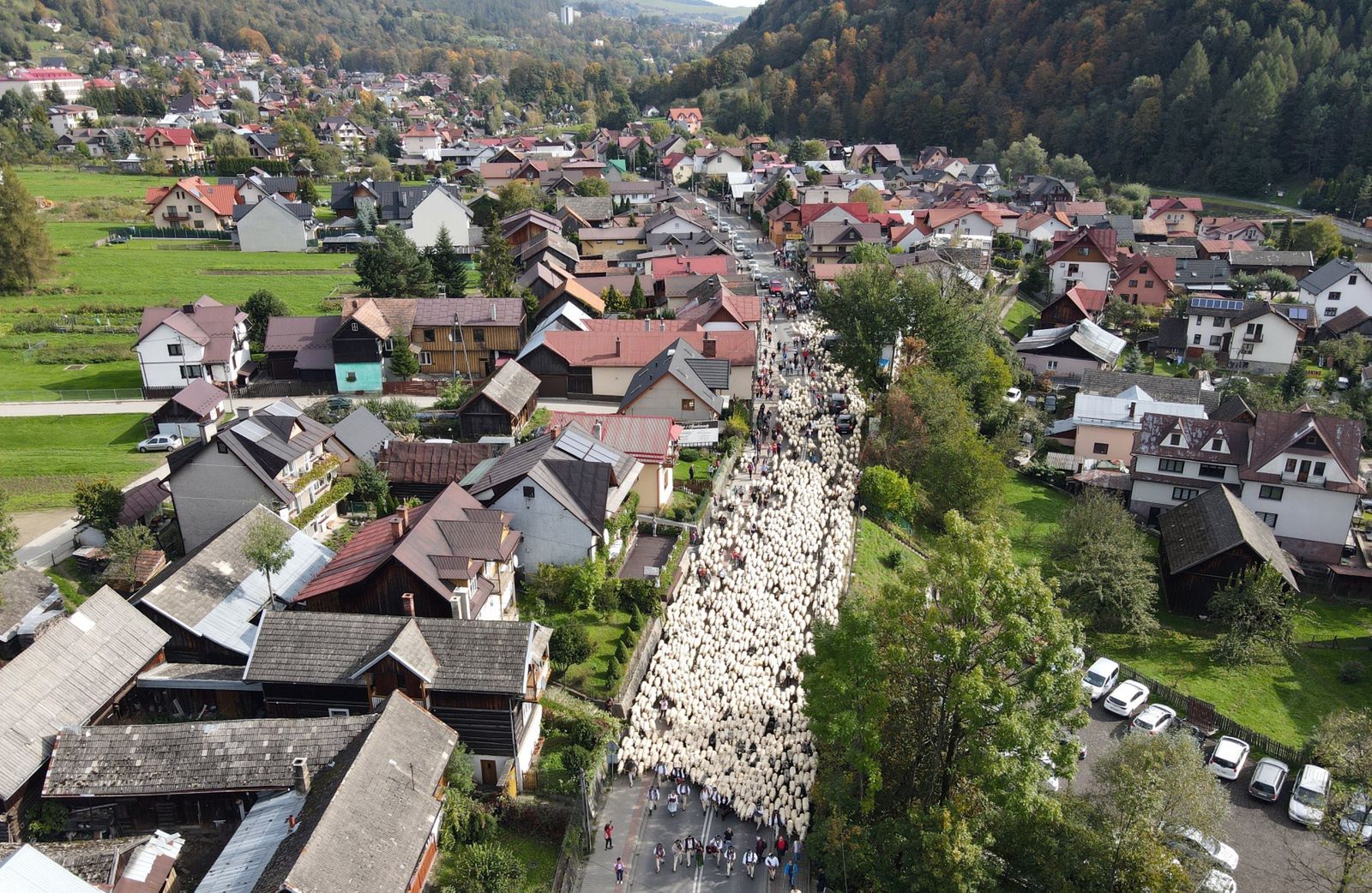 Szczawnica