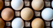 Większość z nas kupuje właśnie takie jajka. To najgorszy wybór