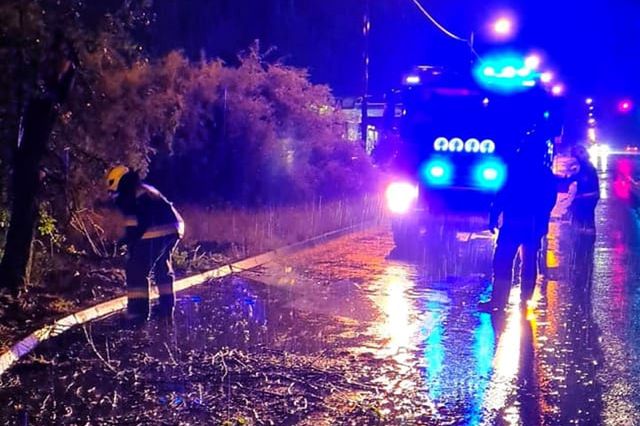 Śląski. Usuwanie zwalonych drzew na drogi to było jedne z najczęstszych wezwań.