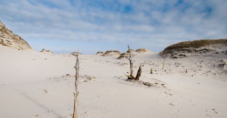 Tajemnicze dźwięki nad Bałtykiem. Przyciągają turystów i naukowców