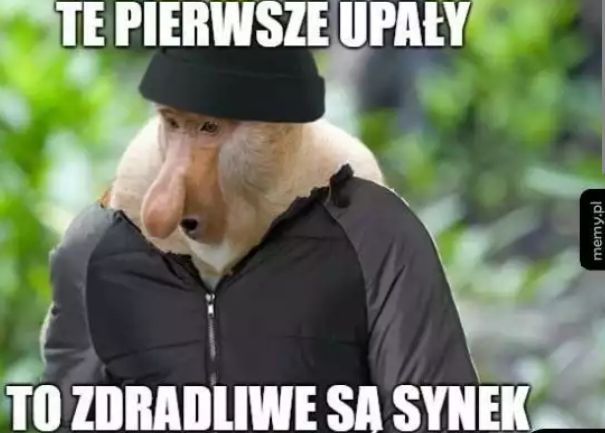 Mem o upałach