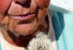 Pracownica poczty udaremniła oszustwo "na wnuczka"