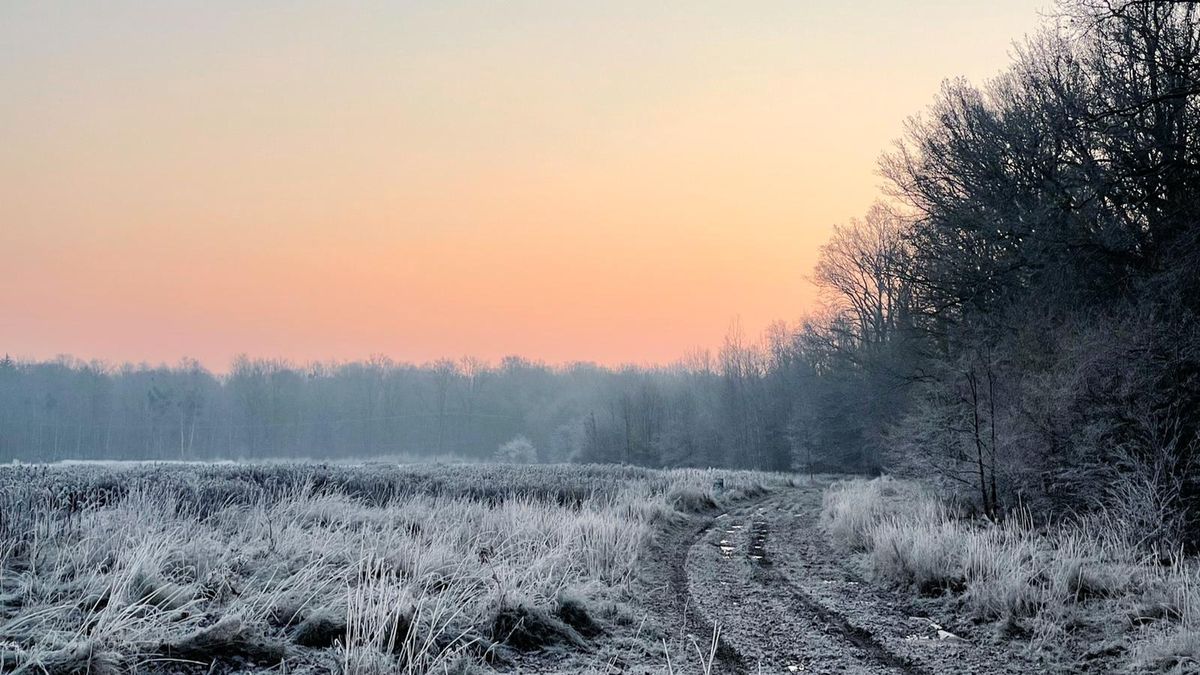 pogoda wschód słońca zima przymrozek las