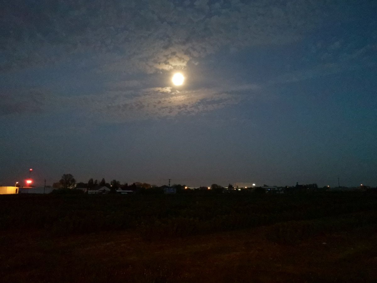 Huawei P20: test bardzo dobrego smartfonu o aparycji pięknego flagowca 33