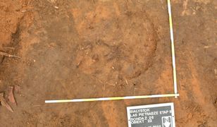 Szczątki ofiar zbrodni komunistycznej w lesie. Niezwykłe odkrycie IPN na Podlasiu