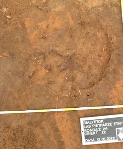 Szczątki ofiar zbrodni komunistycznej w lesie. Niezwykłe odkrycie IPN na Podlasiu