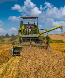 Ponad 130 tys. wniosków o nową rentę. Ruszyły wypłaty dla rolników