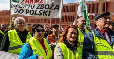 Ukraińscy miliarderzy kontra rolnik na 60 hektarach. Nowy wątek awantury o zboże