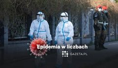 Gazeta.pl w nowym cyklu podaje statystyki pandemii koronawirusa