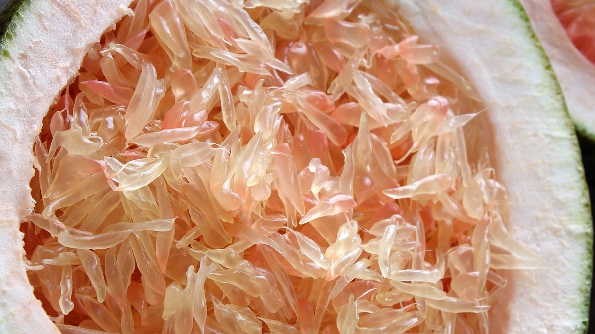 Wyciąg z pestek grejpfruta pomoże tarczycy