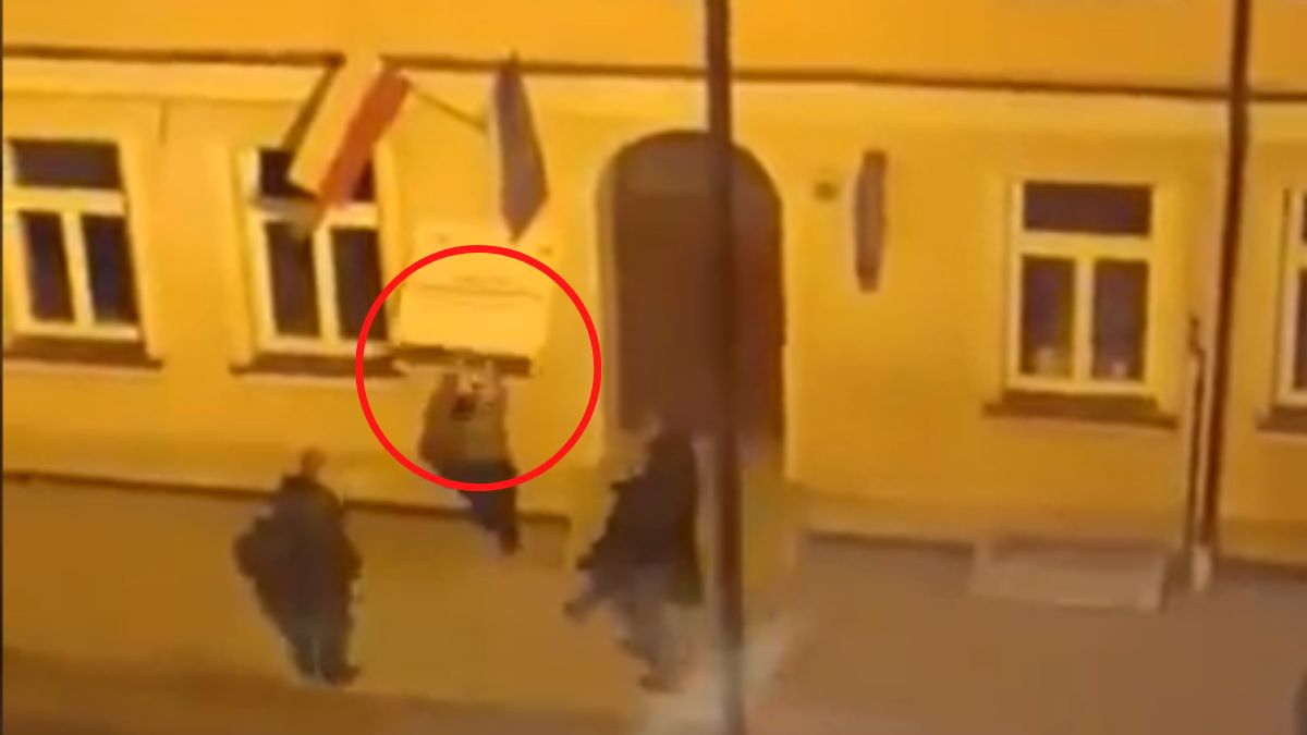 Tomasz Frankowski hejterzy