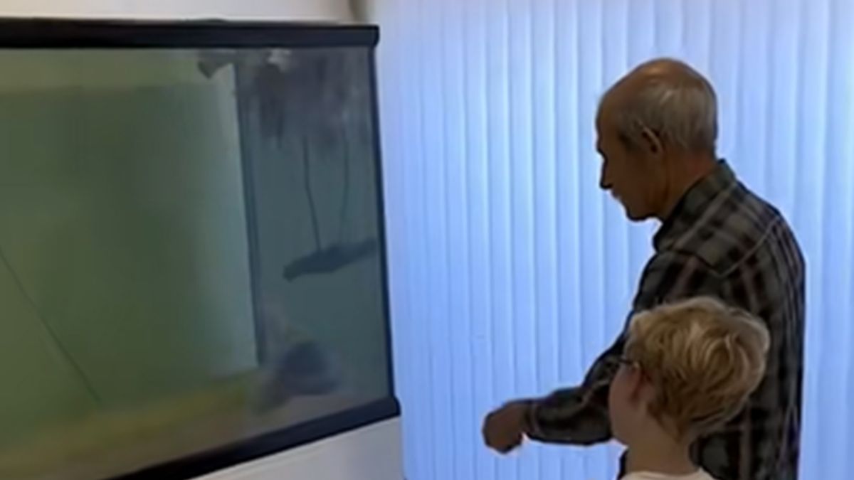 Ojciec kupił ośmiornicę na urodziny syna 