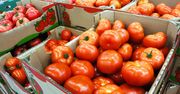 Wysłali pomidory do Polski. Zarobili 1,8 mld zł. Skąd pochodzą?