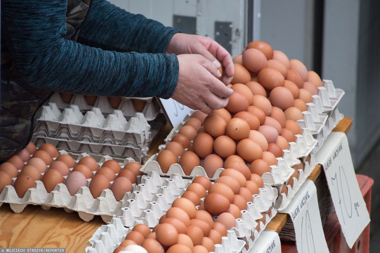 Brakuje jaj, ceny rosną. Co czeka nas przed Bożym Narodzeniem?